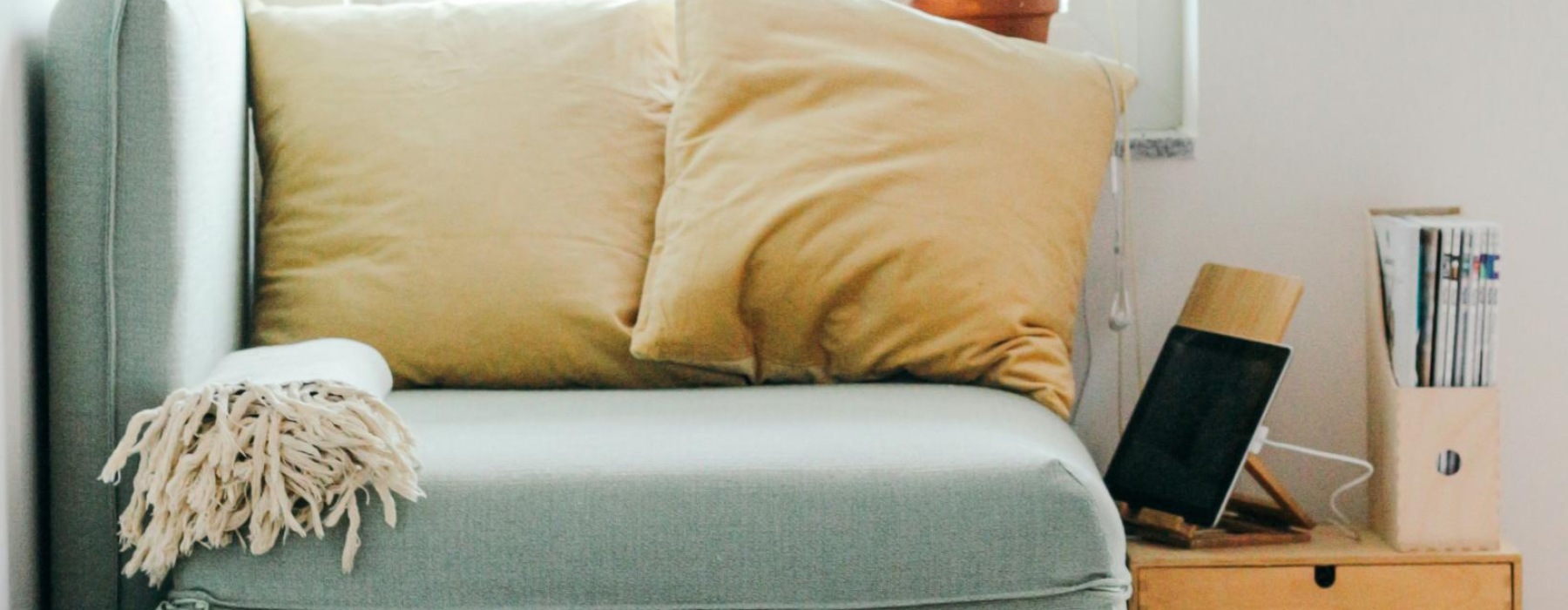 a dog lying on a couch